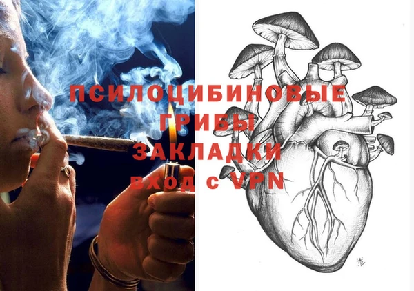 молекула духа Дмитриев
