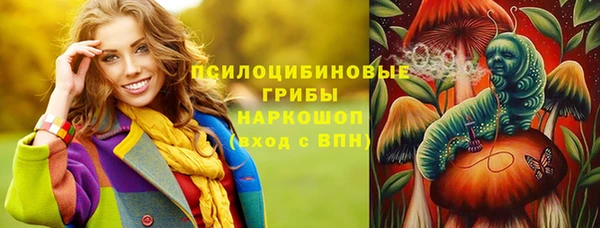 мяу мяу мука Гусев