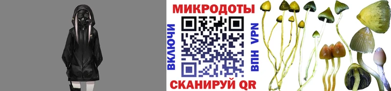 Купить закладки  Ладушкин  Псилоцибиновые грибы прущие грибы 